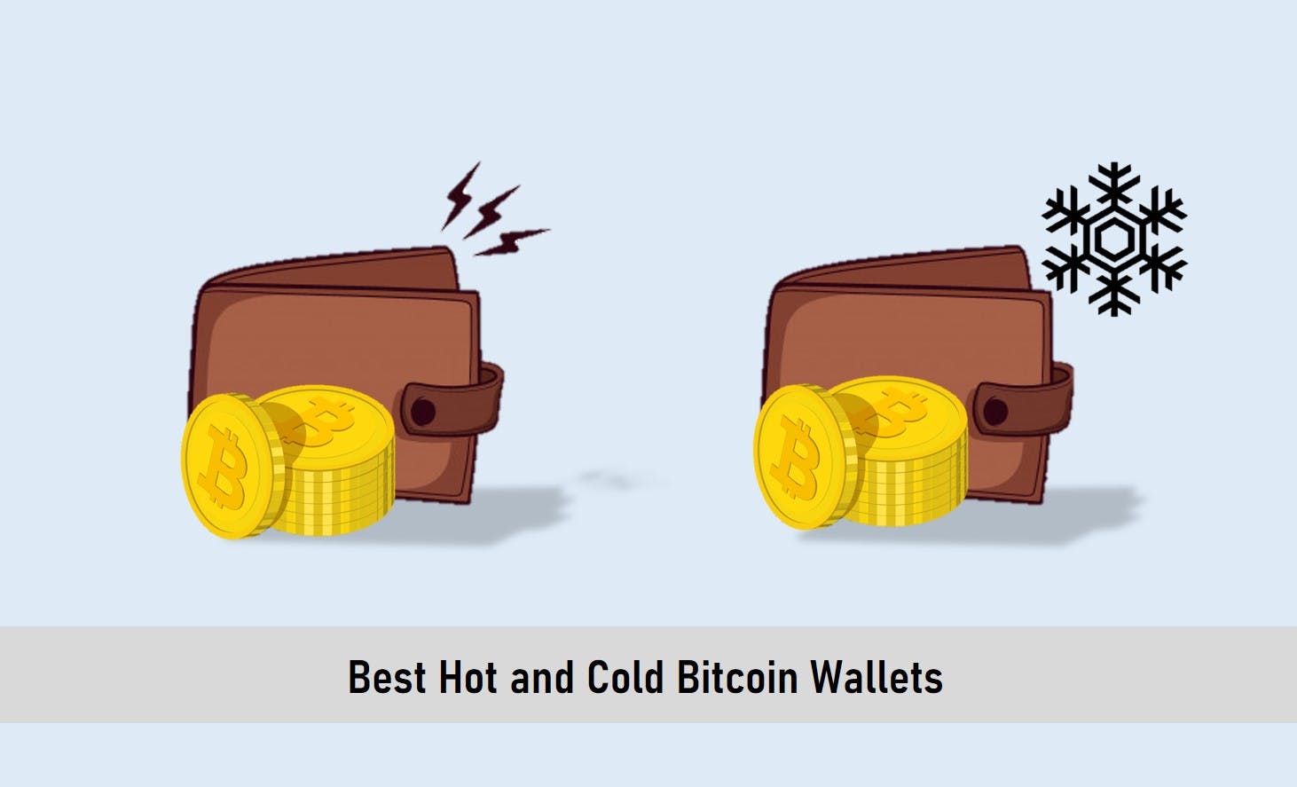 Best Hot and Cold Bitcoin Wallets