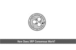 How Does XRP Consensus Work?