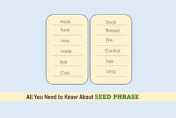 All You Need to Know About Seed Phrase