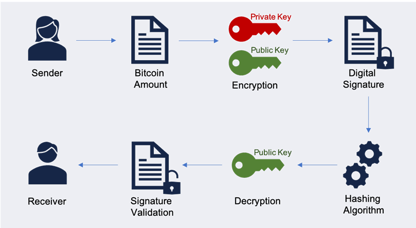 How Crypto Wallet Digital Signatures Work