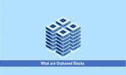 What are Orphaned Blocks?