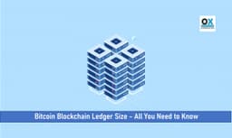 Bitcoin Blockchain Ledger Size – All You Need to Know