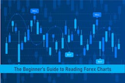 The Beginner’s Guide to Reading Forex Charts