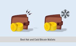 Best Hot and Cold Bitcoin Wallets