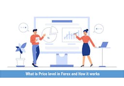 What is Price level in Forex and How it works