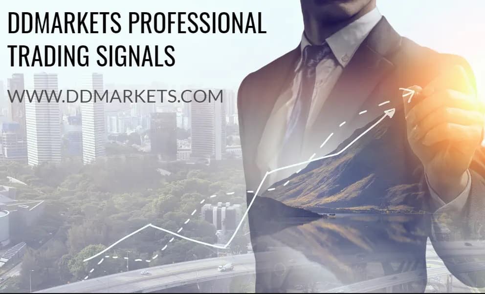 Best Forex Signal Provider 2023 – DDMarkets Forex Signals