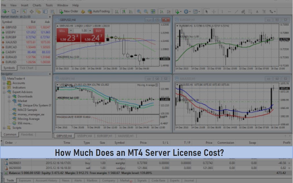 How Much Does an MT4 Server License Cost?