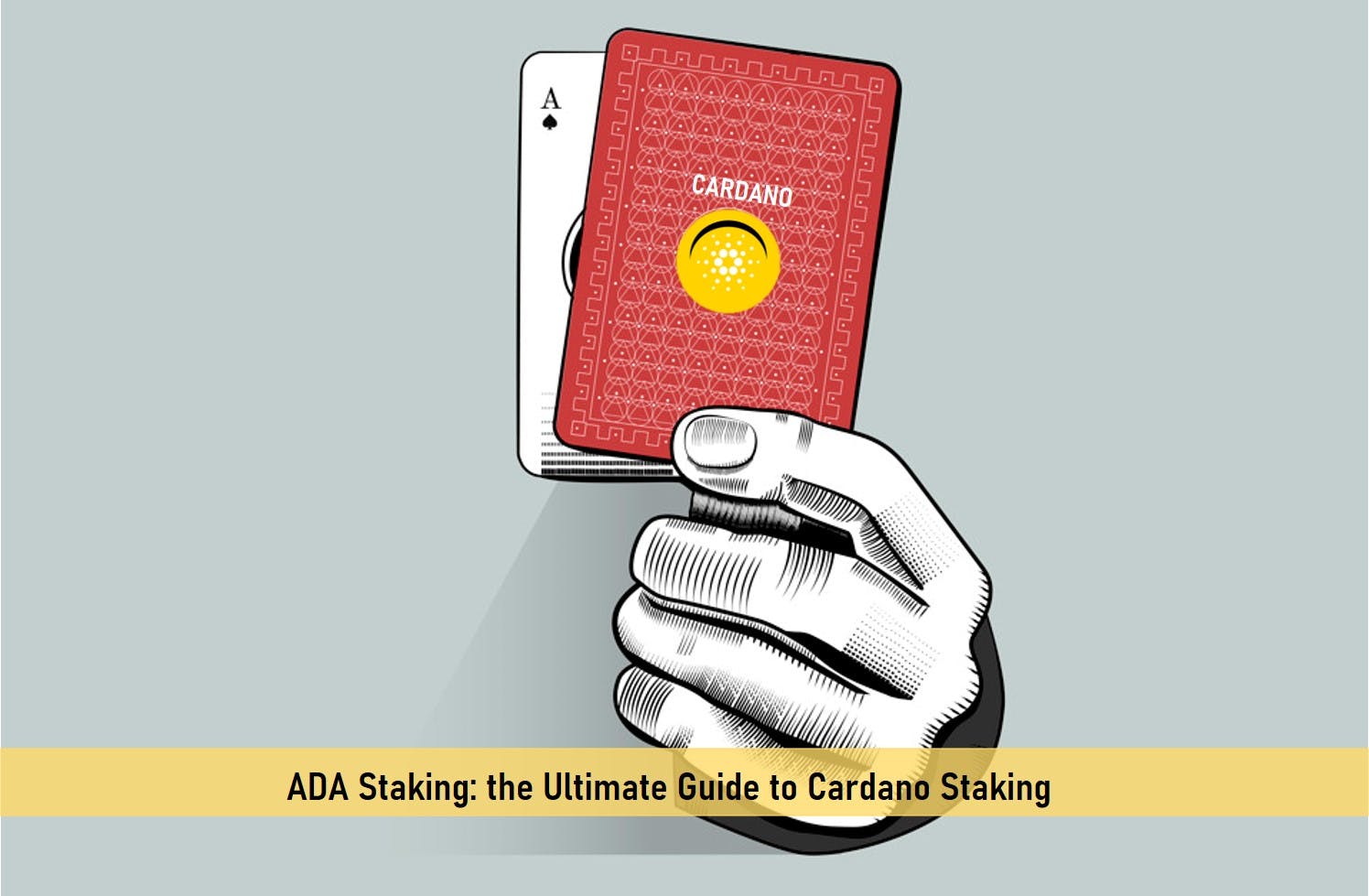 ADA Staking: the Ultimate Guide to Cardano Staking