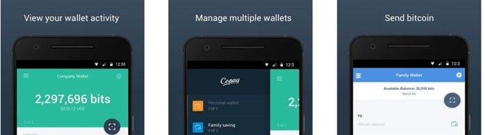 Copay - Are Multi-sig Wallets Truly Safe?