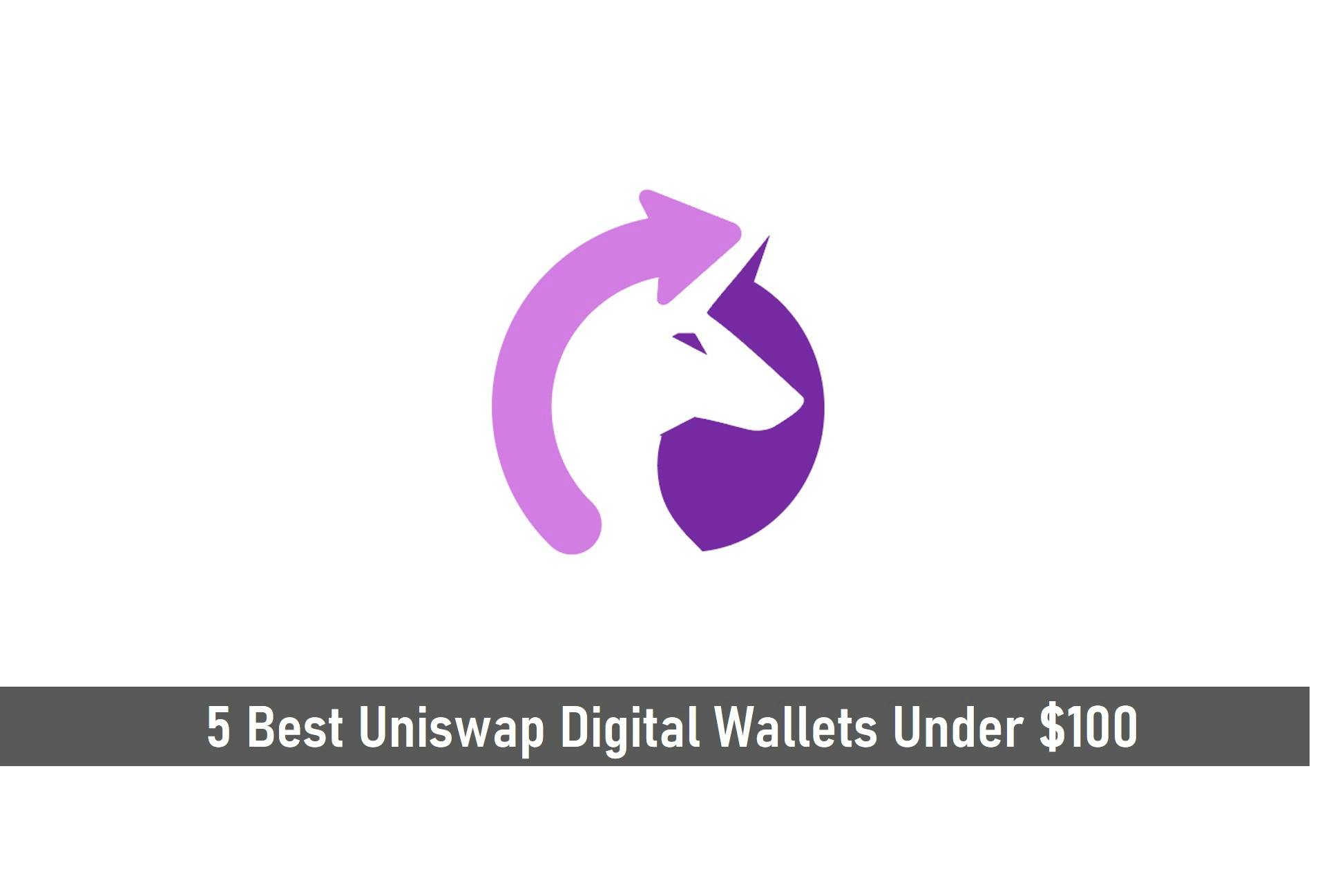 5 Best Uniswap Digital Wallets Under $100