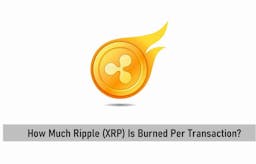 How Much Ripple XRP Is Burned Per Transaction?