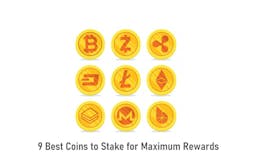 The 9 Best Coins To Stake For Maximum Rewards