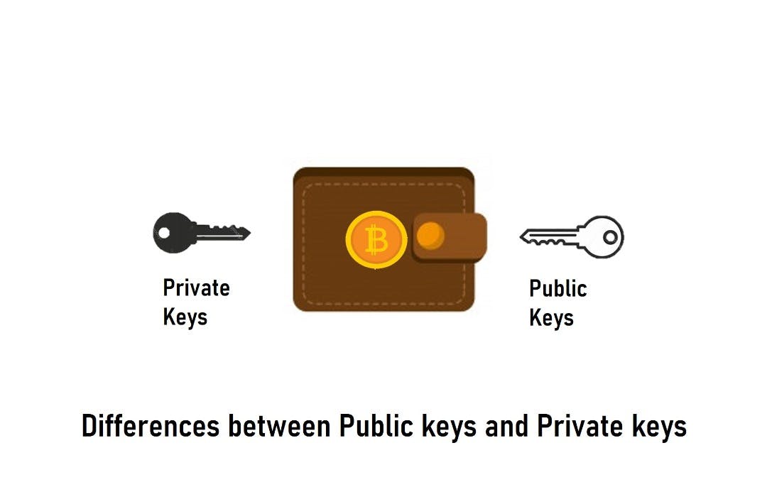 Differences Between Public Keys And Private Keys In Cryptocurrency