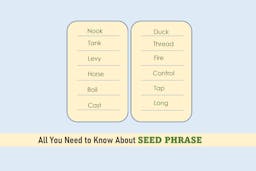 All You Need to Know About Seed Phrase