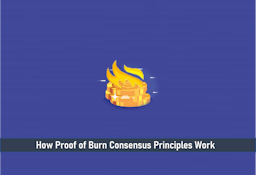 How Proof of Burn Consensus Principles Work