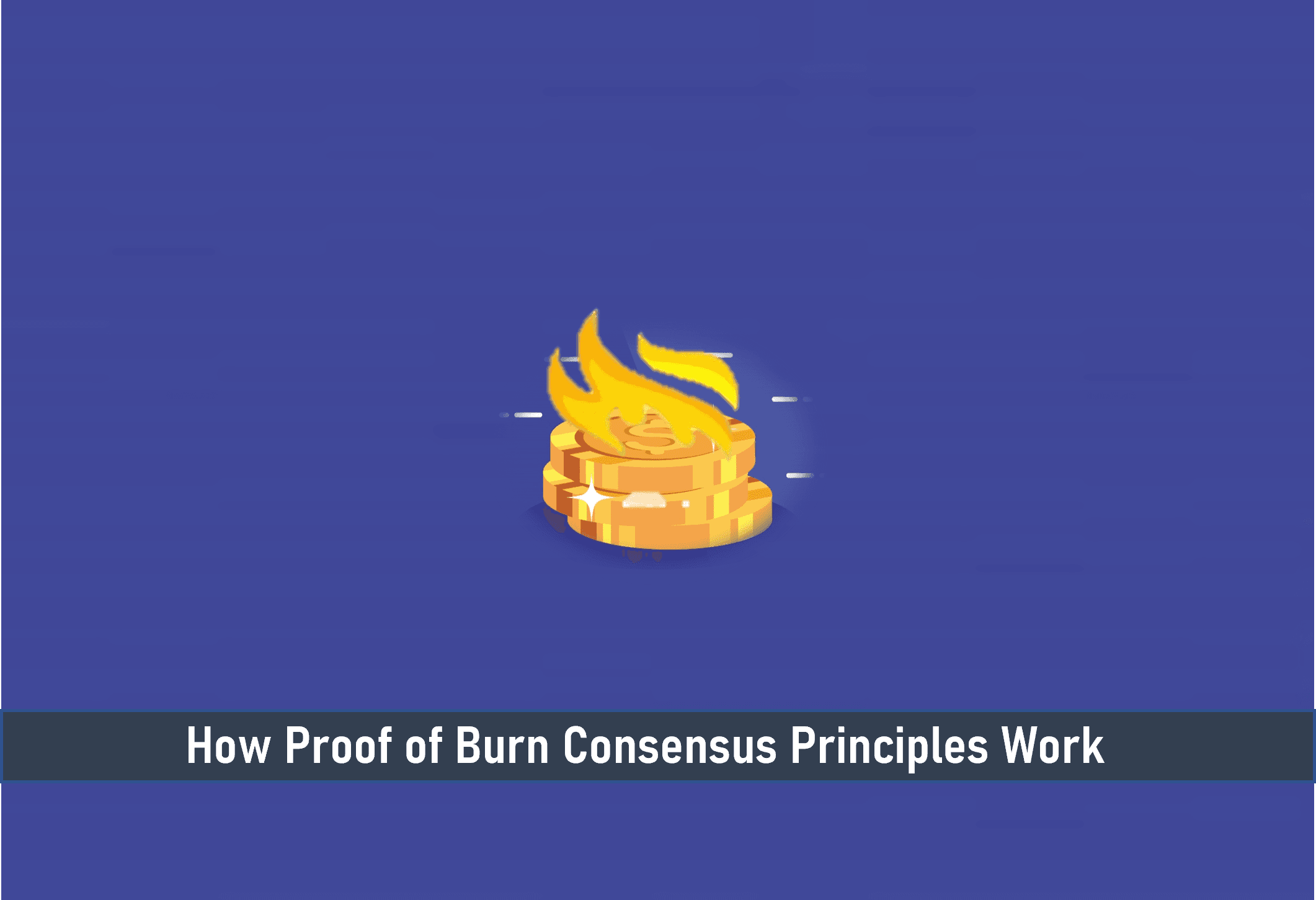 How Proof of Burn Consensus Principles Work