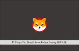 10 Things You Should Know Before Buying SHIBA INU