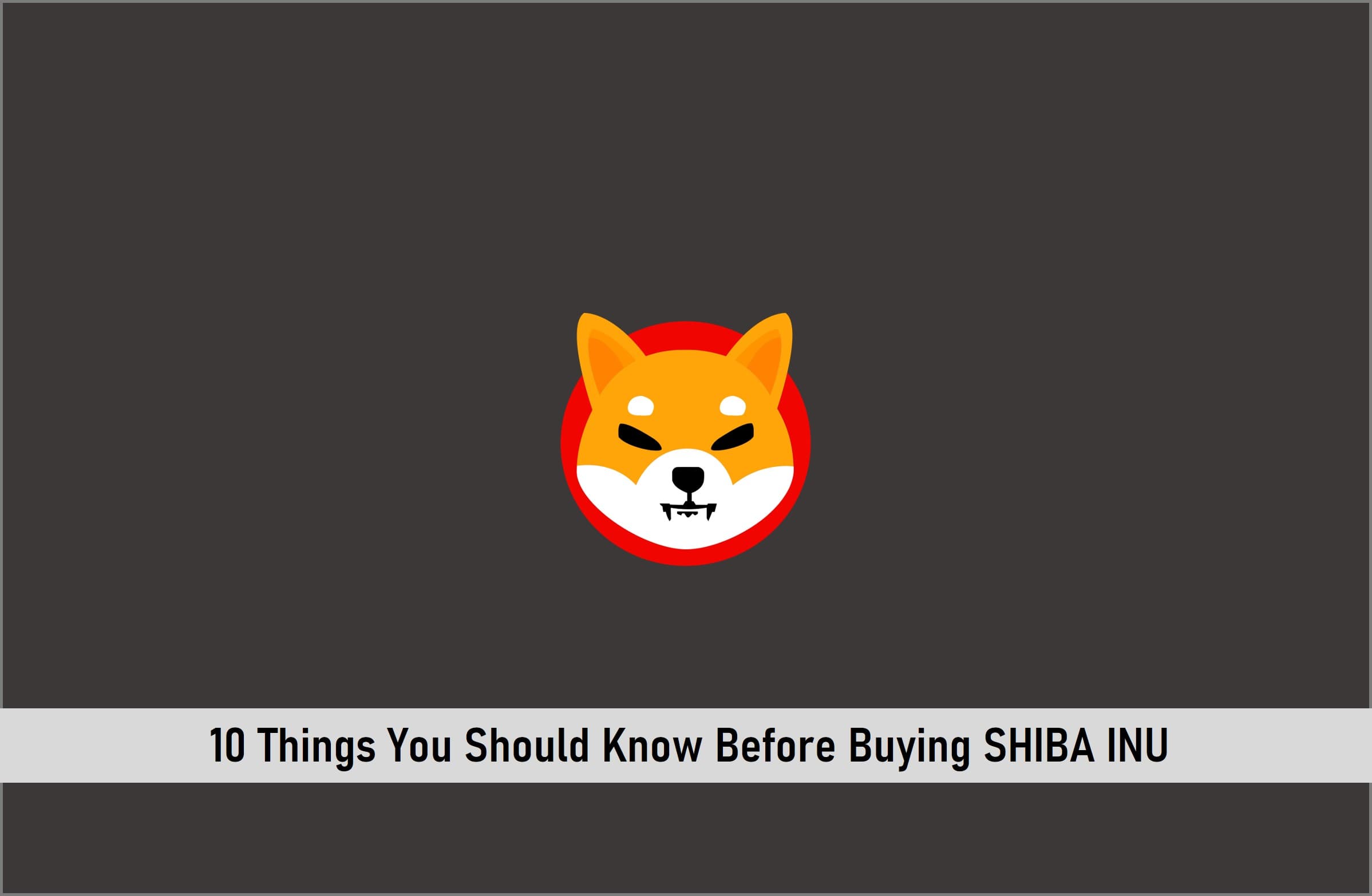 10 Things You Should Know Before Buying SHIBA INU