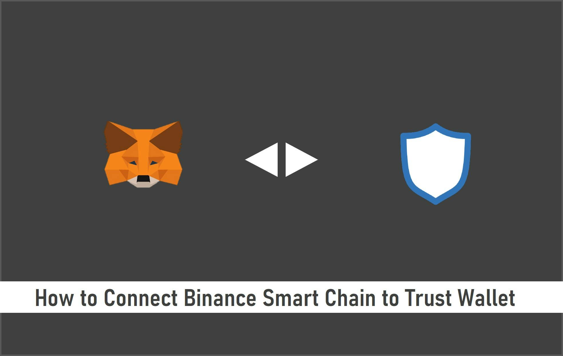 How to Connect Binance Smart Chain Extension to Trust Wallet