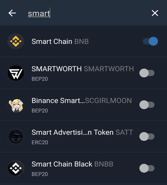 How to Connect Binance Smart Chain Extension to Trust Wallet