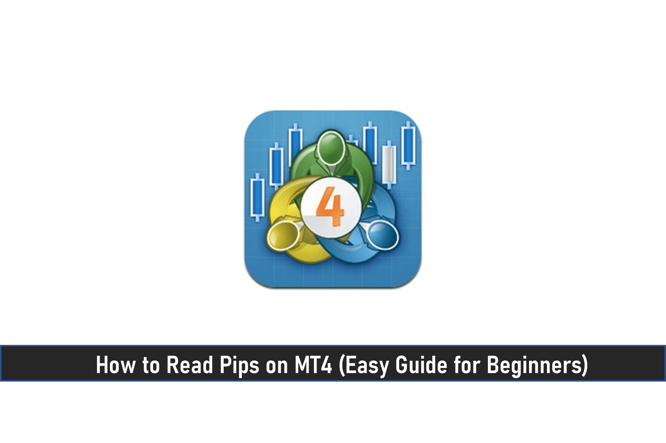 How to Read Pips on MT4 (Easy Guide for Beginners)