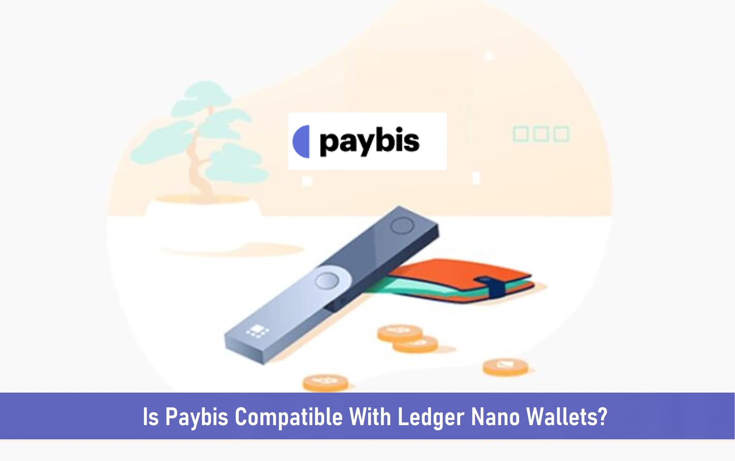 Is Paybis Compatible With Ledger Nano Wallets?