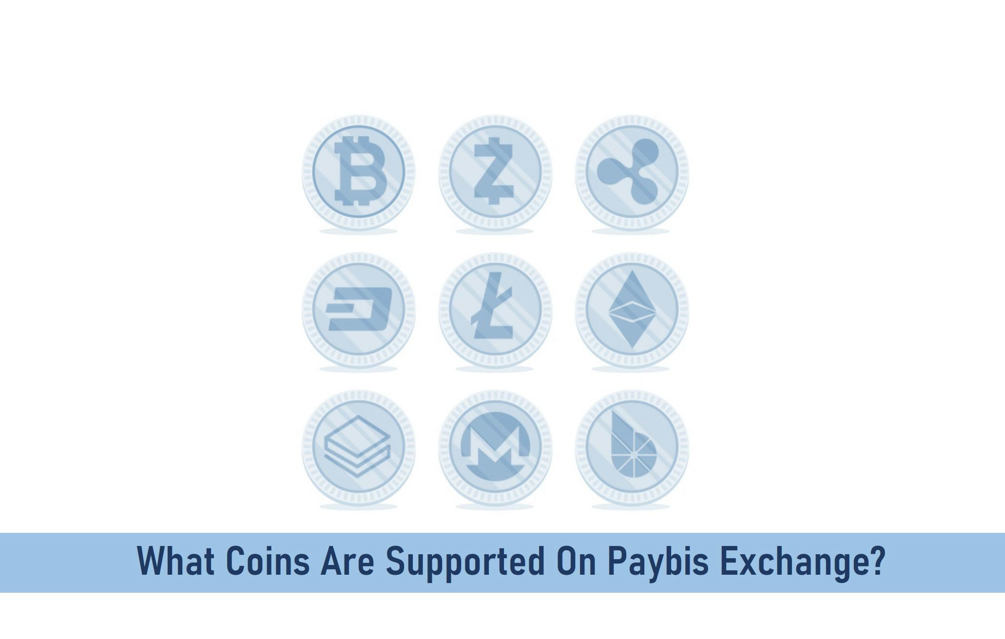 What Coins Are Supported On Paybis Exchange?