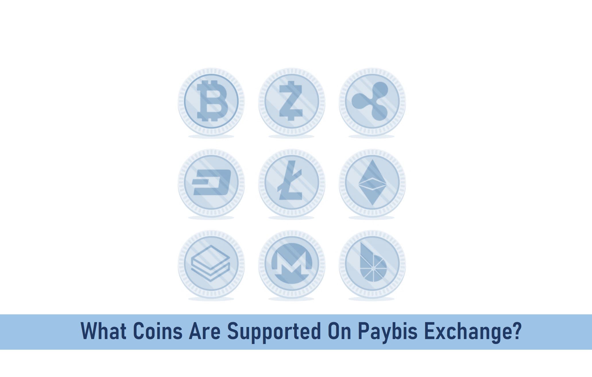 What Coins Are Supported On Paybis Exchange?