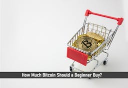 How Much Bitcoin Should a Beginner Buy?