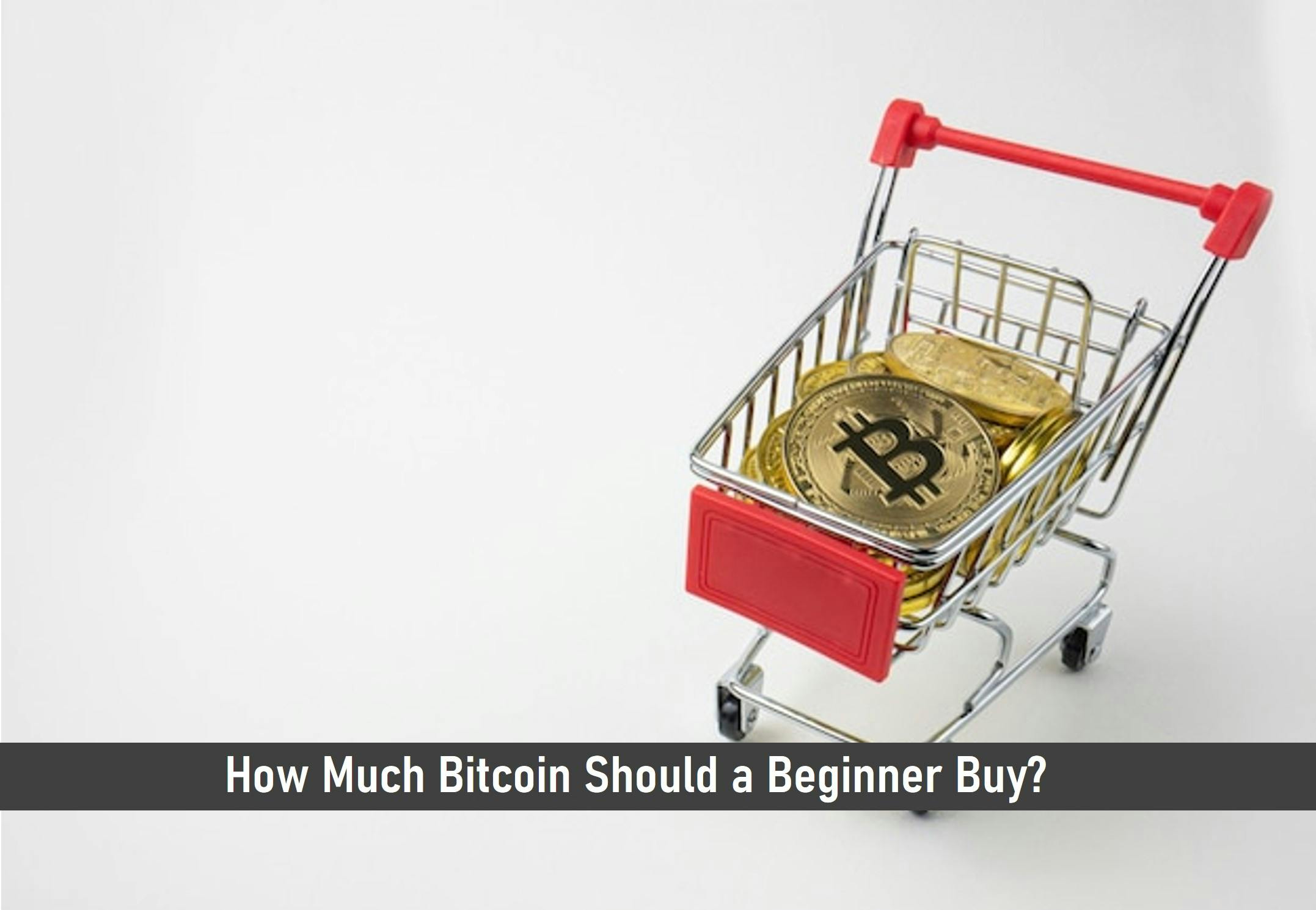 How Much Bitcoin Should a Beginner Buy?