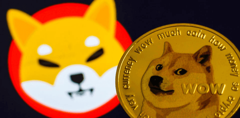 Does Shiba Inu Have Tokenomics?