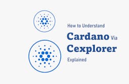 How to Understand Cardano Via Cexplorer (Explained)