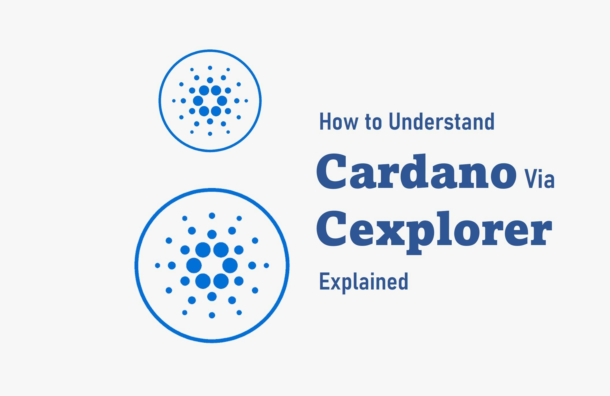 How to Understand Cardano Via Cexplorer (Explained)