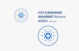How Cardano Mainnet Network Works (Simplified)