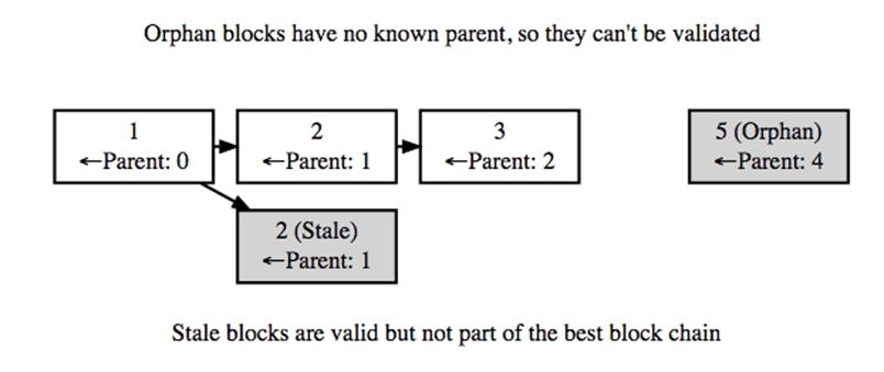 What are Orphaned Blocks?