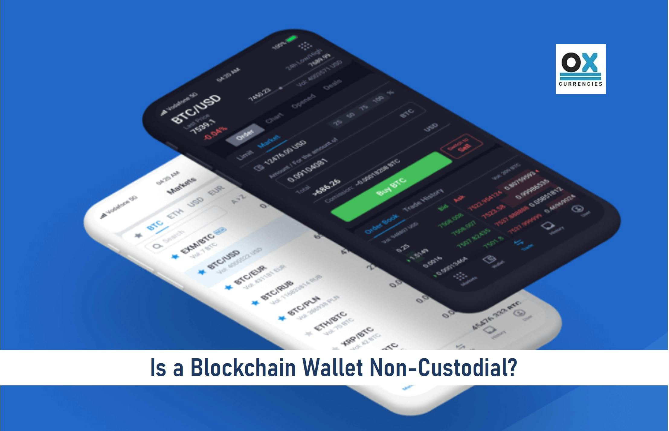 Are Blockchain Wallets Non-Custodial?