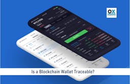 Is a Blockchain Wallet Traceable?
