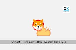 Shiba INU Burn Alert – How Investors can Key in