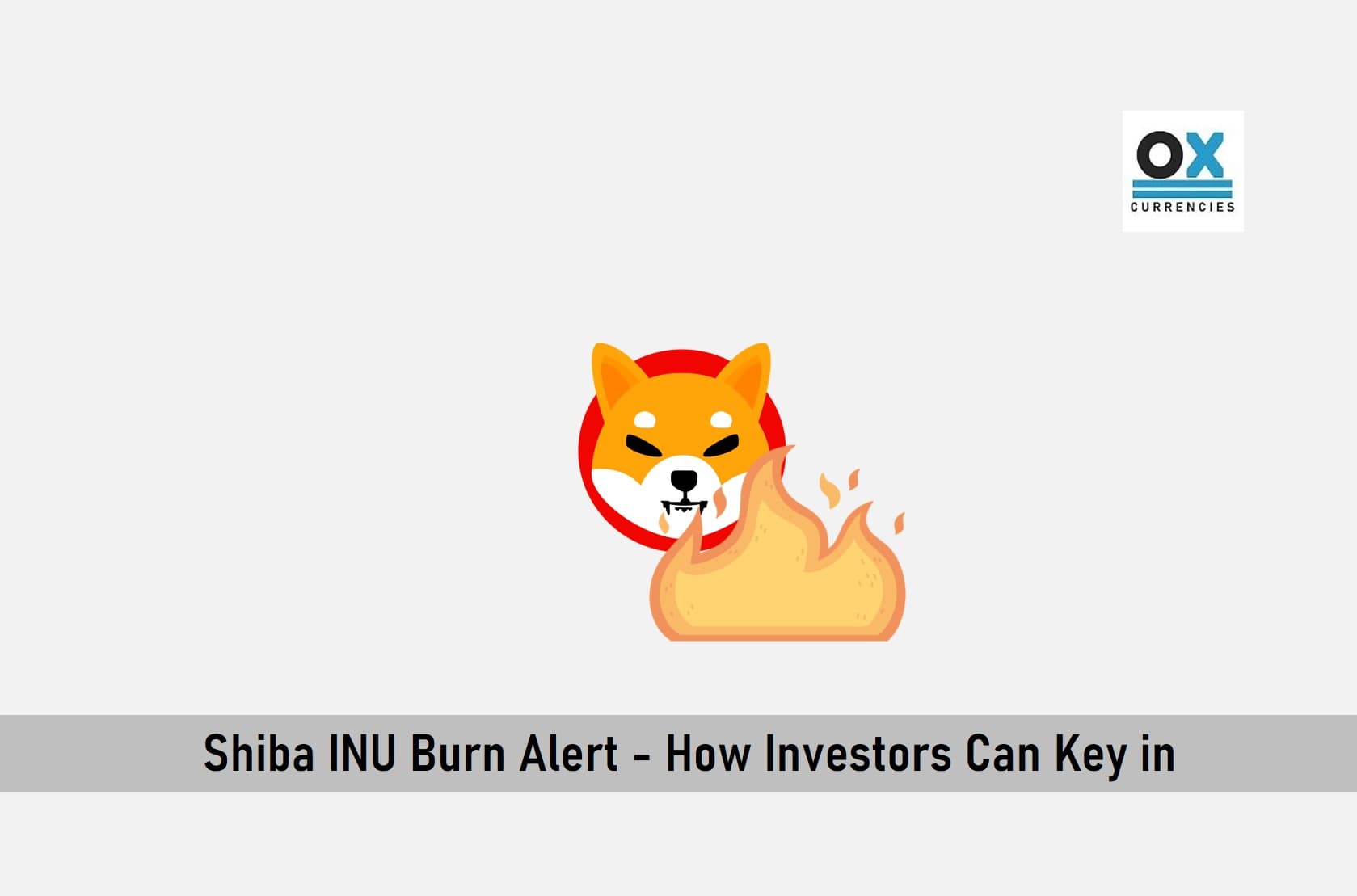 Shiba INU Burn Alert – How Investors can Key in