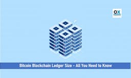 Bitcoin Blockchain Ledger Size – All You Need to Know