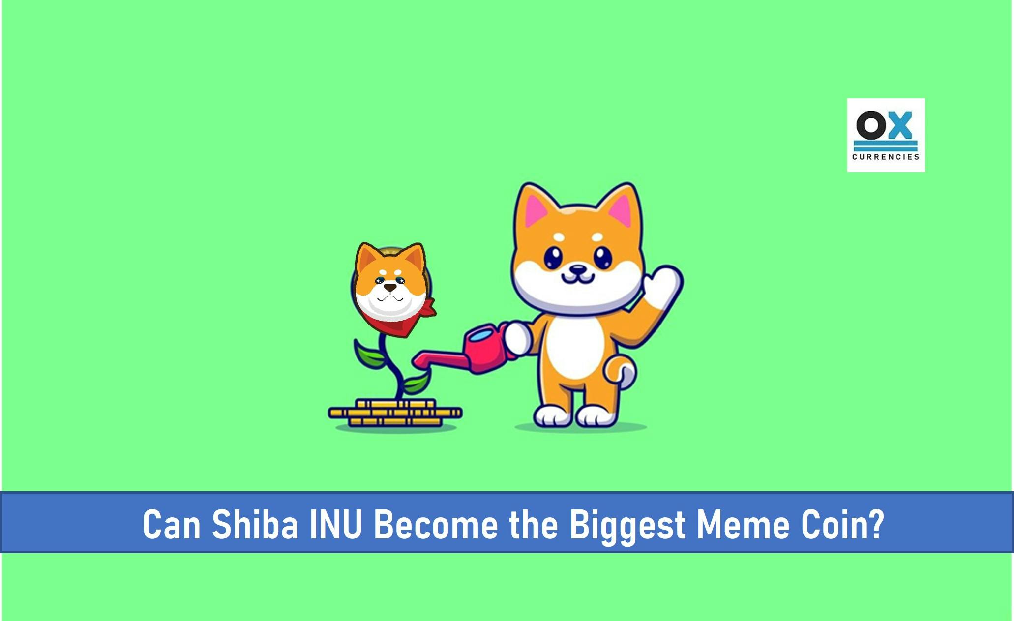 Can Shiba INU Become the Biggest Meme Coin?