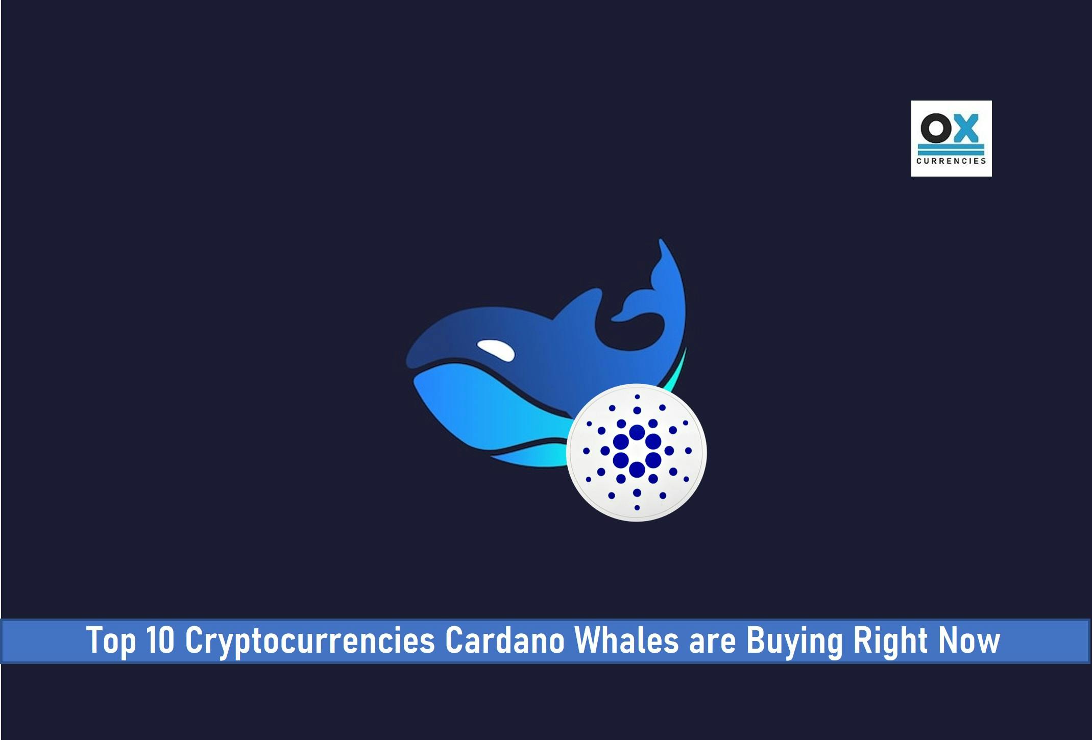 Top 10 Cryptocurrencies Cardano Whales are Buying right now