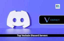 Top Vechain Discord Servers