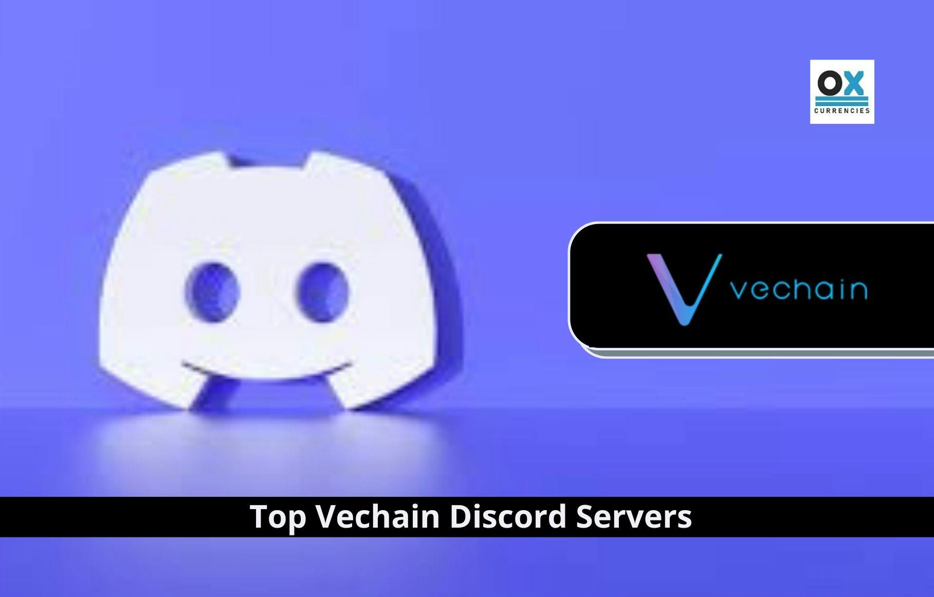 Top Vechain Discord Servers